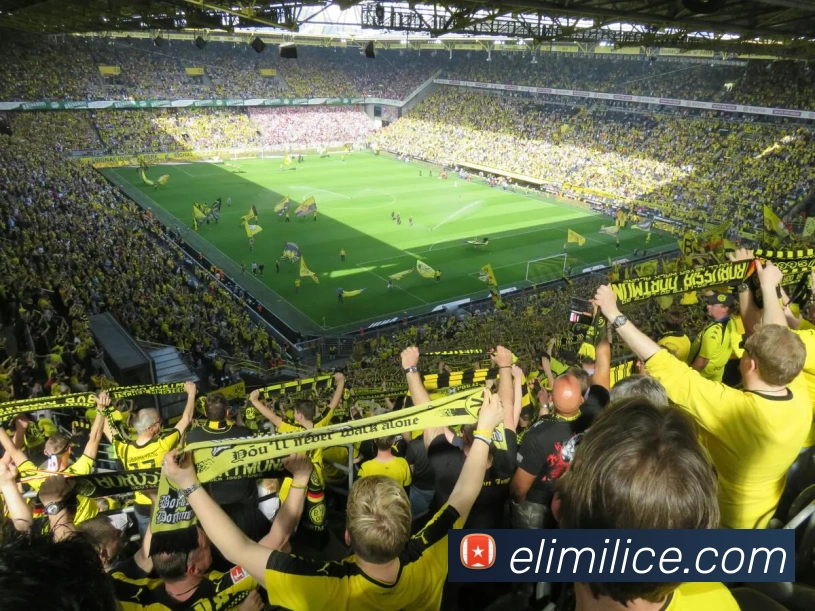 mk体育网址品牌故事